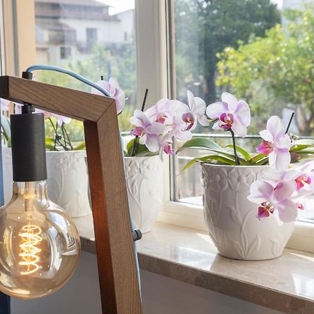 Hotel Casa Marino Półwysep Sorrentyński Zewnętrze zdjęcie